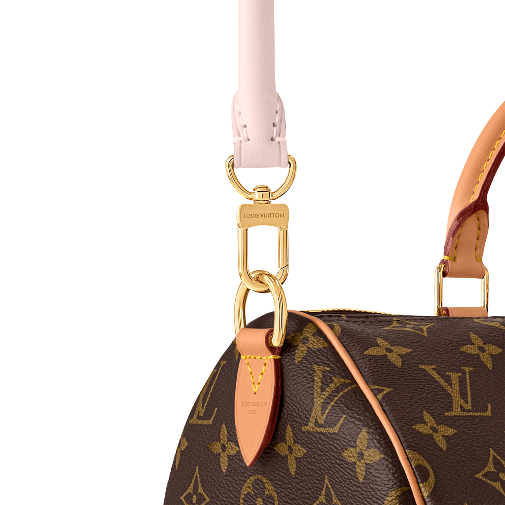 Louis Vuitton Speedy Soft 30 - Monogram view 2