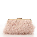 MINAUDIERE CLUTCH BAG