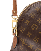 Louis Vuitton Alma MM Soft Celebration - Monogram view 4