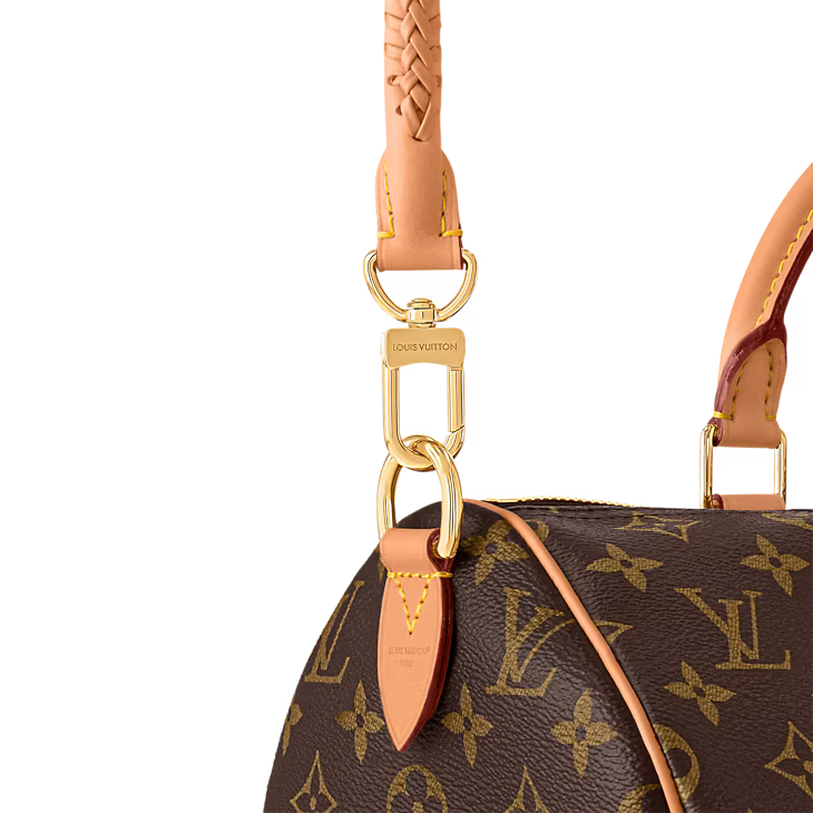 Louis Vuitton Speedy Soft 30 Lucky - Monogram Green view 6