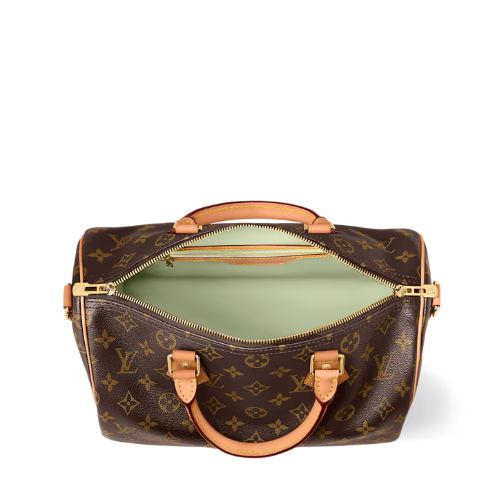 Louis Vuitton Speedy Soft 30 Lucky - Monogram Green view 5