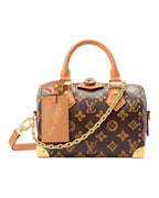 Louis Vuitton Speedy Trunk 20 front view in monogram canvas with cowhide leather trim, gold chain, and stud details.