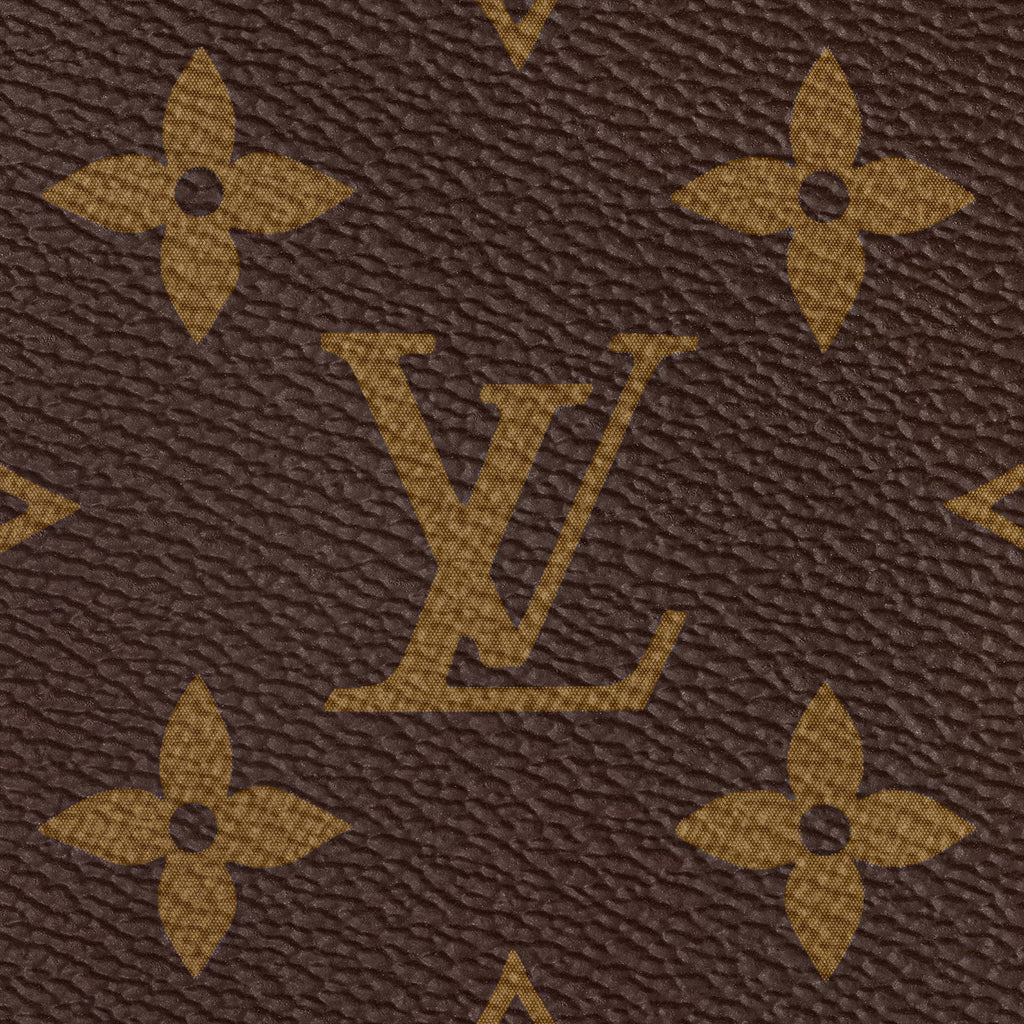 MOAH shoes iconic brown monogram coated canvas pattern with signature floral motifs and LV logo texture