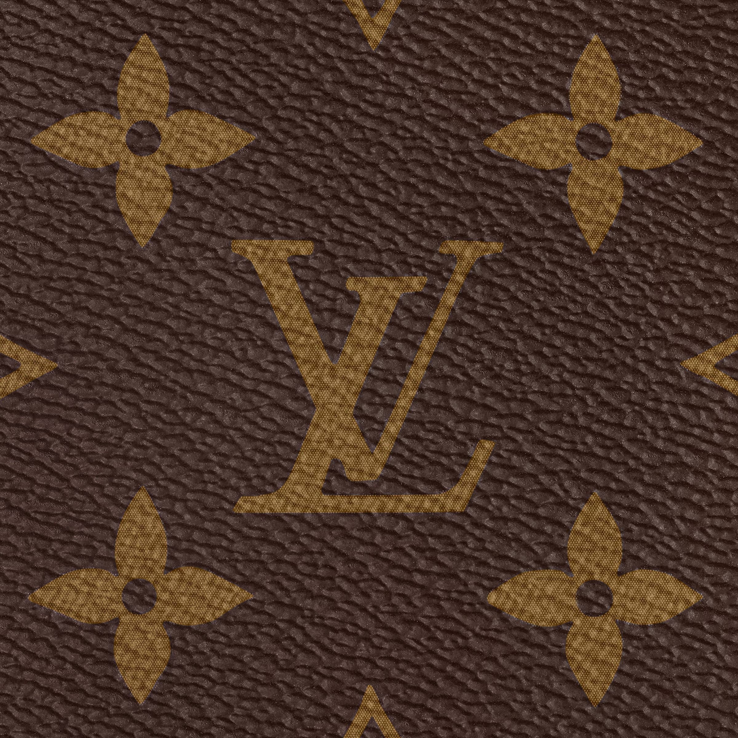 MOAH shoes iconic brown monogram coated canvas pattern with signature floral motifs and LV logo texture
