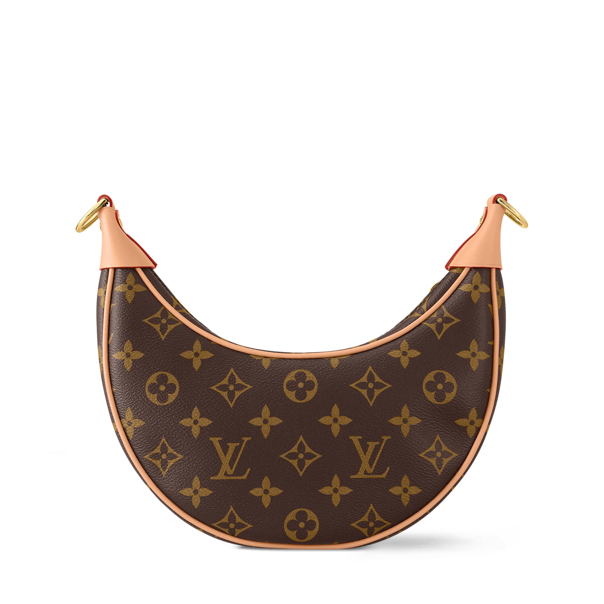 Louis Vuitton Loop Bag back view