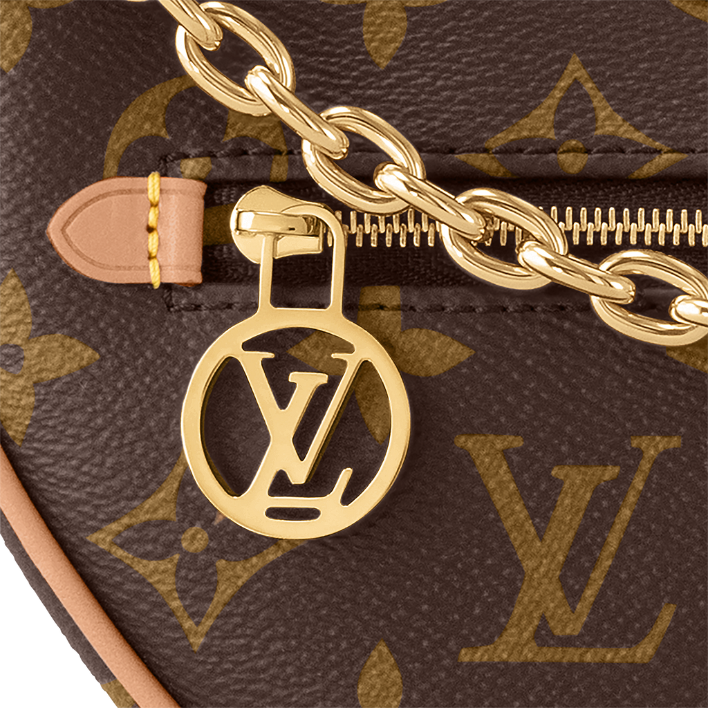Louis Vuitton Loop Bag detail view
