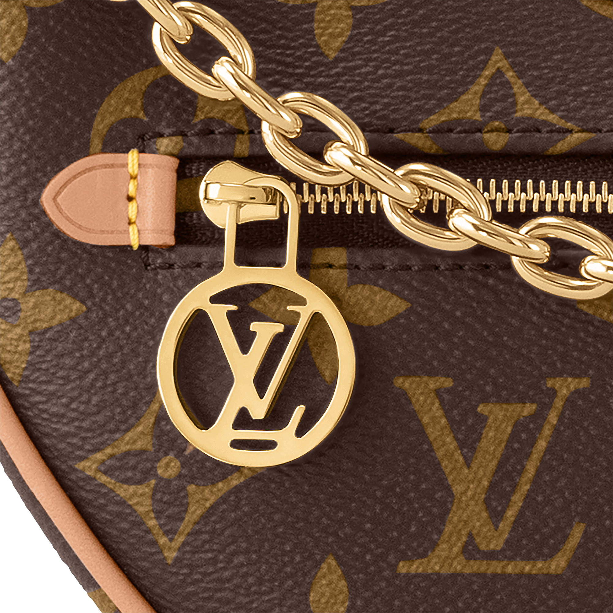 Louis Vuitton Loop Bag detail view