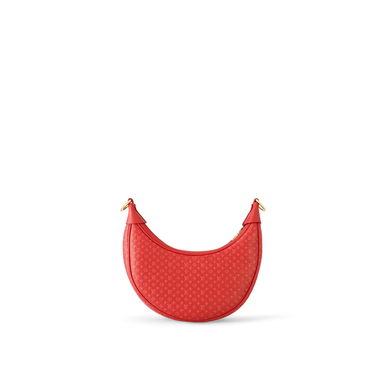 Louis Vuitton Loop Baguette Bag back view